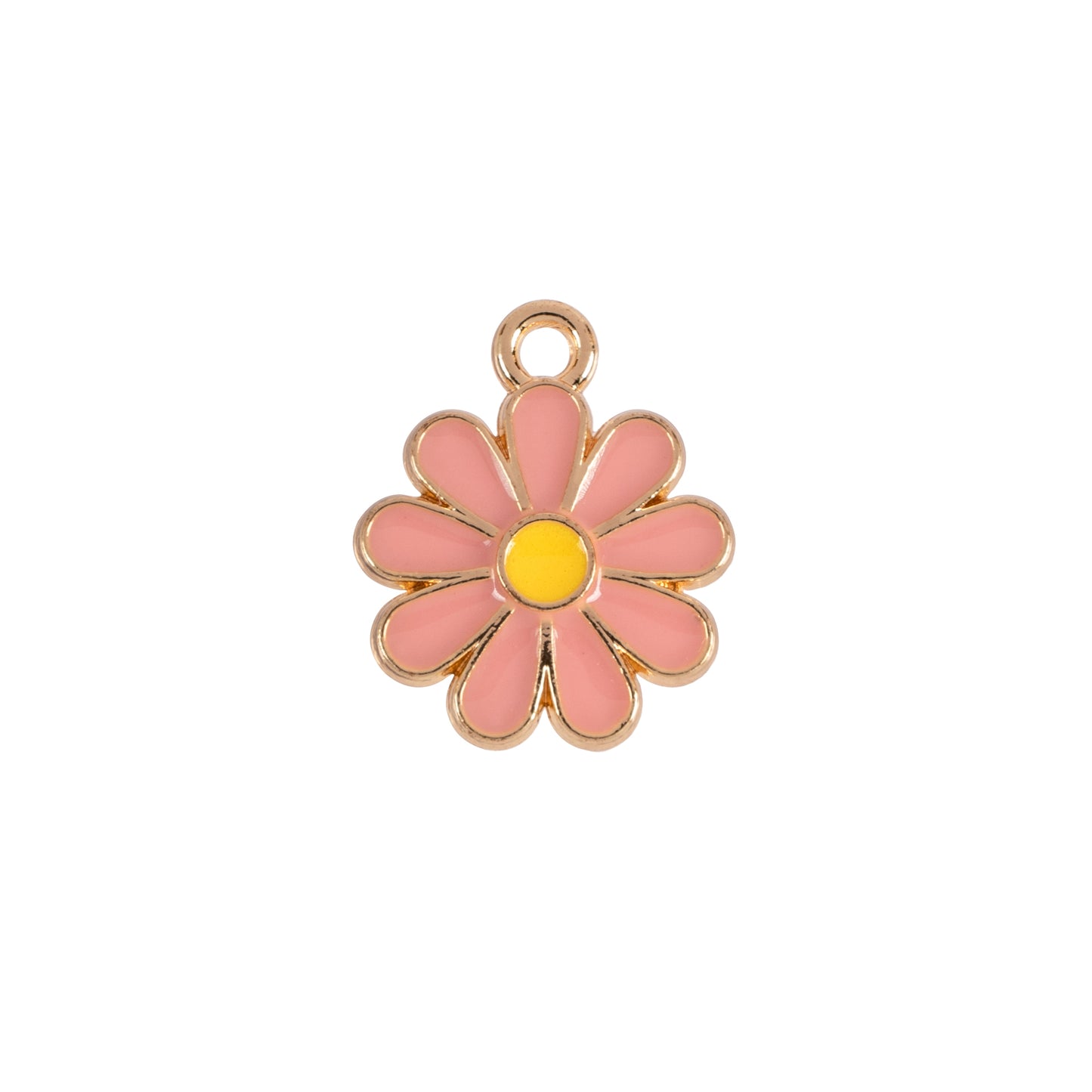 daisy flower