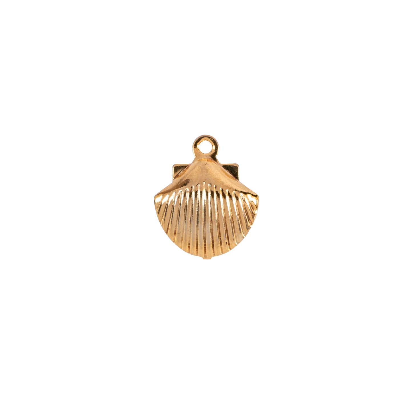 sea shell