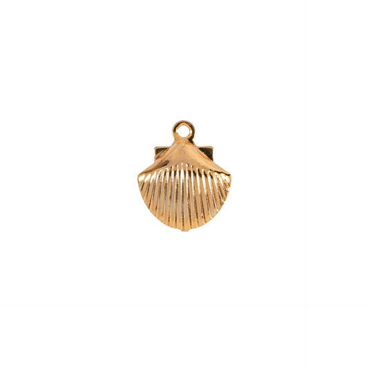 sea shell